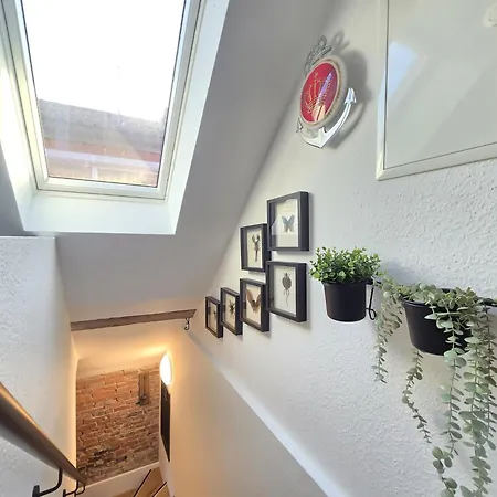 Turmblick 마리엔해프