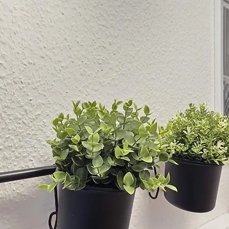 아파트 Turmblick 마리엔해프